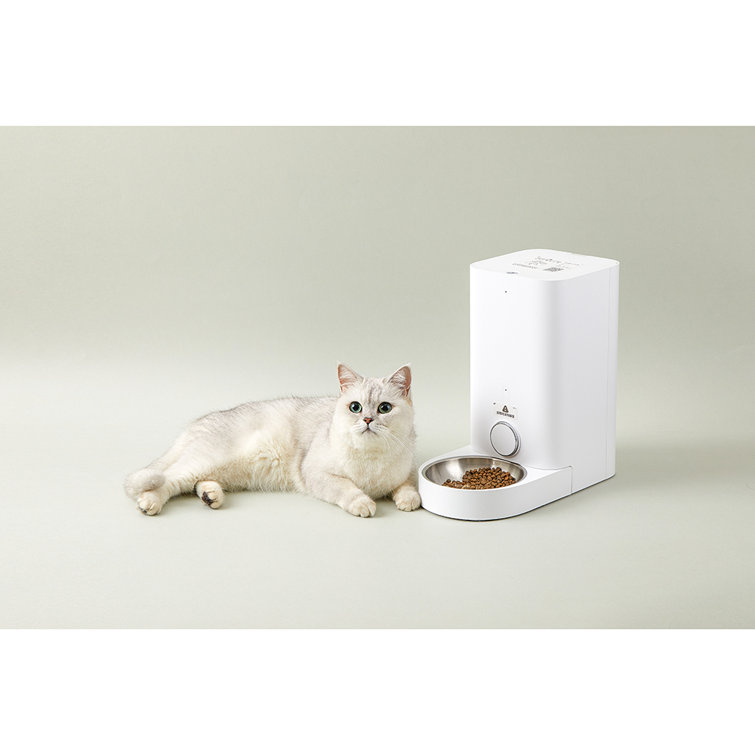 Petkit Fresh Element Smart Pet Automatic Feeder & Reviews Wayfair